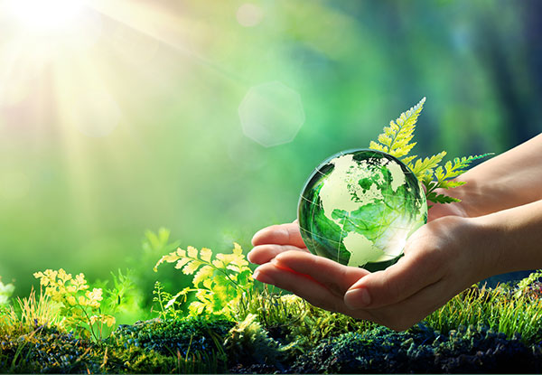 Discover On Site's Eco-Friendly Drapery Cleaning: Where Clean Meets Code, and Safety Meets Sustainability